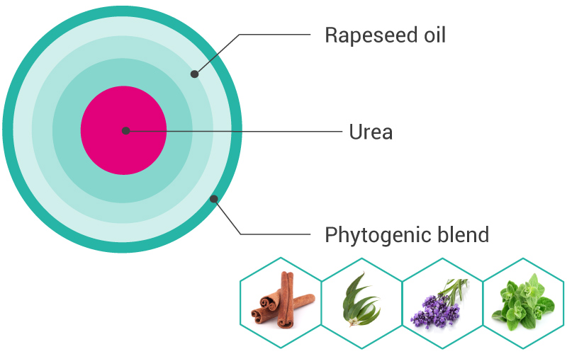 Composition of the Neocaps solution for dairy cows