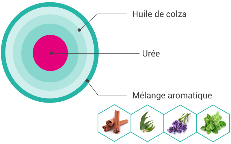 Composition de la solution Neocaps pour vache laitière